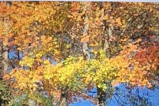 Michael Cirelli Photography - 21