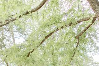 Morgan Lee Photography - 14
