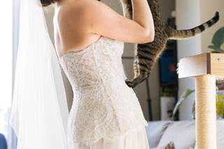 Mike Sperlak Photography - 6