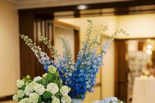 The Adolphus Hotel - 17
