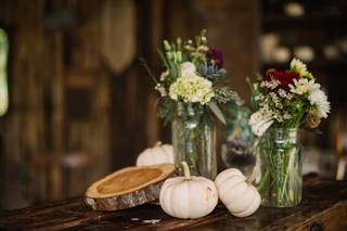 Haley Elizabeth Photography - 14