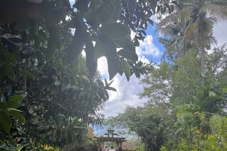 Hacienda Siesta Alegre - 10