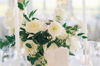 Dancing Stems Design - 6