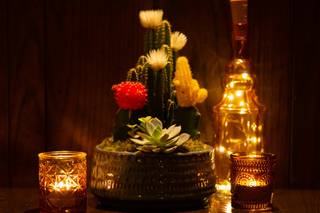Elizabeth Solaka Photography - 6