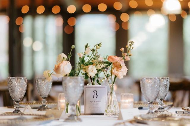 Professional Party Rentals - 1