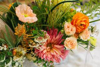 Bird Dog Wedding - 35