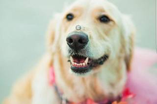 Josie Brooks Photography - 55