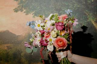 Olivia Nadel Photography - 5
