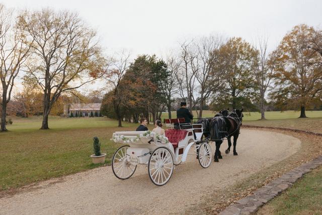 The Shenandoah Carriage Company, LLC - 4