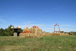 Terrapin Hill Farm - 44