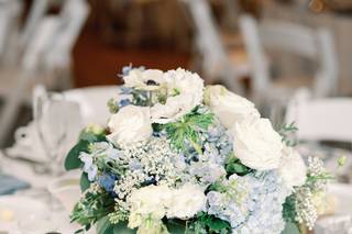 Beneva Weddings - 10