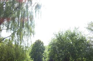 Stoltzfus Homestead and Gardens - 5