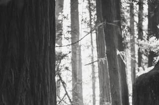Prasanna Pilaka Photography - 5
