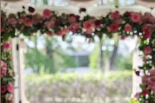 Weddings With Sonya - 9