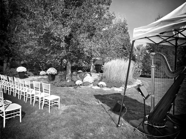 Chanah Ambuter, Michigan Harpist - 1
