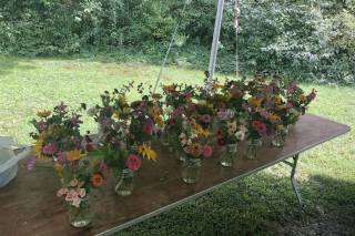 Vera Flora Farm - 25