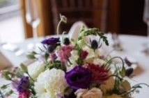 Ladyslipper Designs - 22