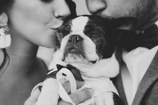 Christy McCarter Photography - 13