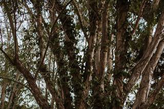 Eve Rox Photography - 27