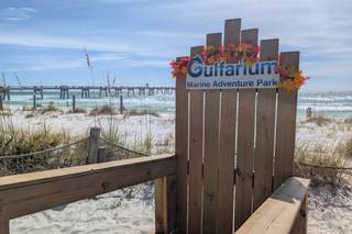 Gulfarium Marine Adventure Park - 16
