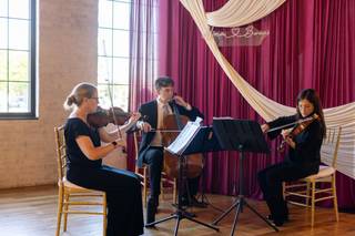 Innocenti Strings - 5