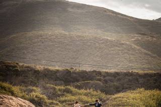David Goldman Photography - 6