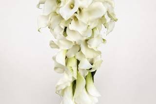 Naples Picasso Flowers - 5