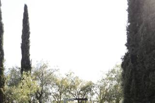 Draping Wedding - 28