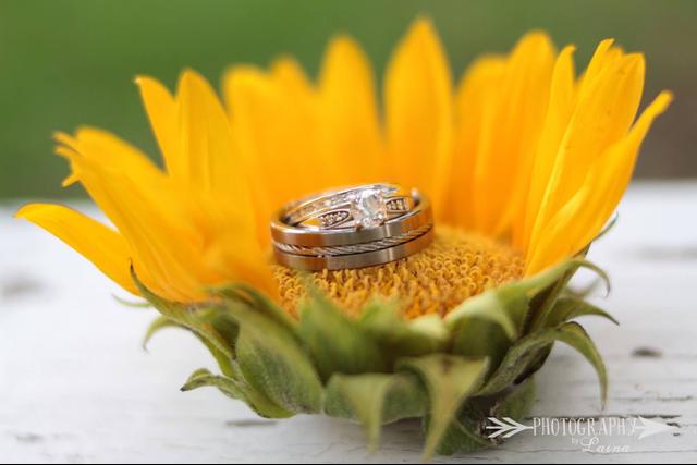 Photography by Laina - 1