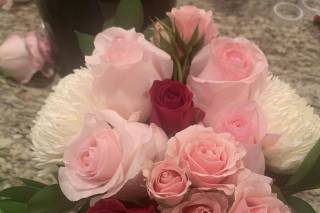 Stella’s Way - 5