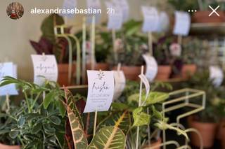 Alexandra Sebastian Company - 7