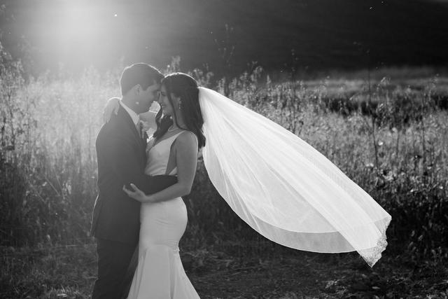 The Brides Project - 1