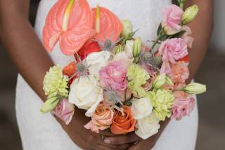 Protea FloraLab. - 14