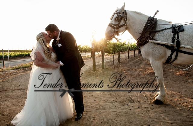 Tender Moments Photography - 4