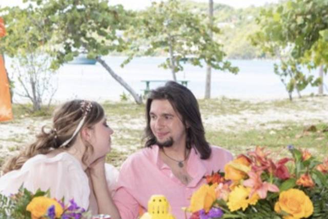 Flawless Weddings & Events of the Virgin Islands 4