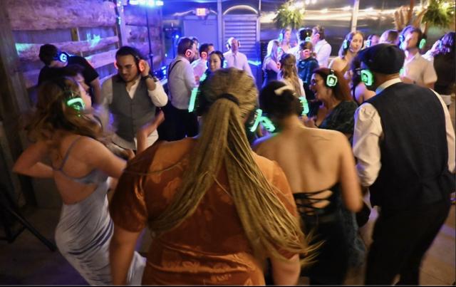 Sounds Unlimited Wedding Entertainment - 3