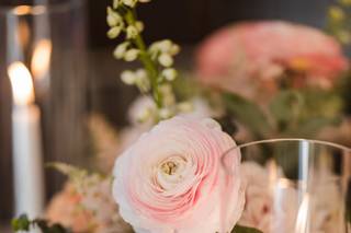 Events By Merida - 26