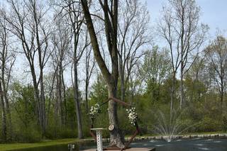 Tandale Nature Barn - 5