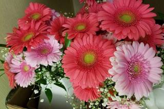 Flowers 'n' Ferns - 9