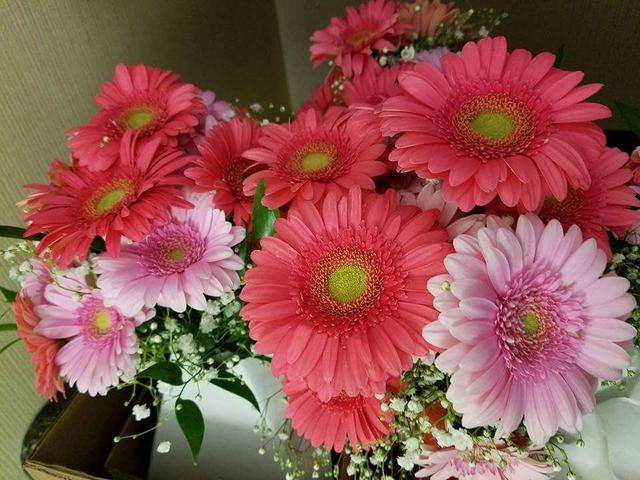 Flowers 'n' Ferns - 4