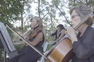 Eliana Strings - 24