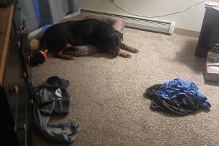 Frosted Memories LLC - 13