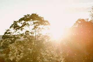 Paperbird Photography - 36