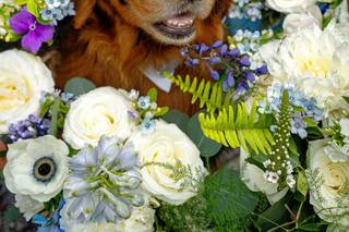 Shelley's Flowers & Gifts - 22