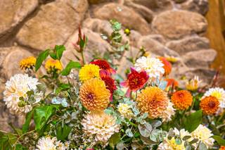 Rainbow Roots Floral Co. - 6