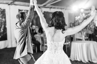 Steven Dray Photography - 38