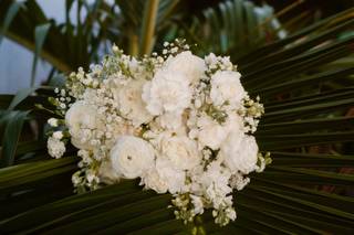 Vlady Flowers - 61