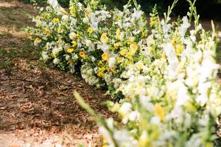Portico - Awbury Arboretum - 70