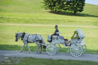 Carriage Limousine Service - Horse Drawn Carriages - 13