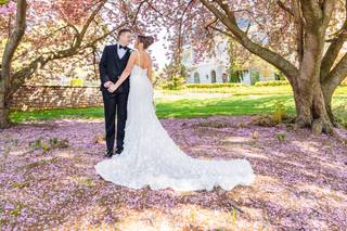 Ann Coen Photography - 6